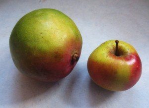 Fresh Fruits and Vegetables have many benefits.
