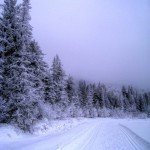 Prospect Trail