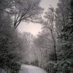 Prospect Trail 2